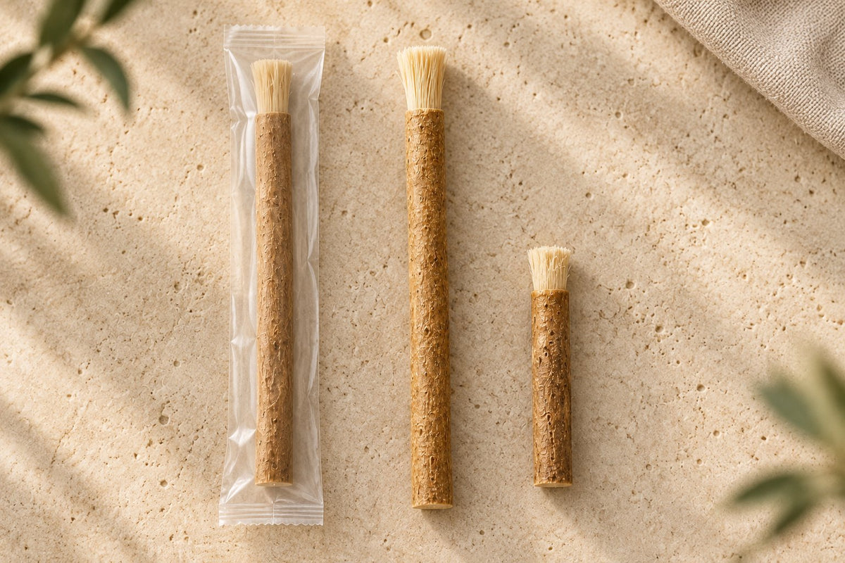 Three miswak sticks side by side: one still sealed, one opened with soft fibers, one trimmed short after three weeks